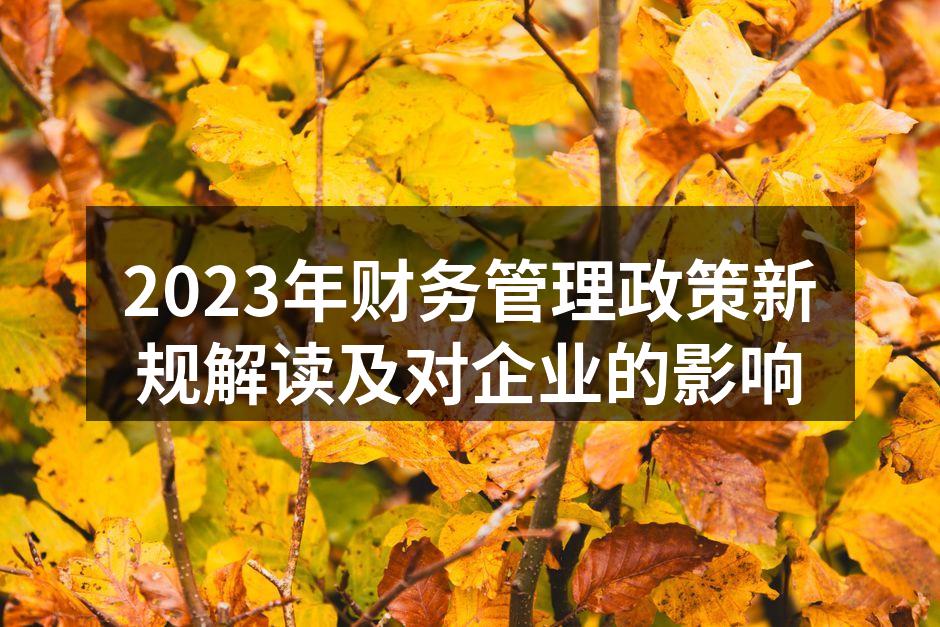 2023年财务管理政策新规解读及对企业的