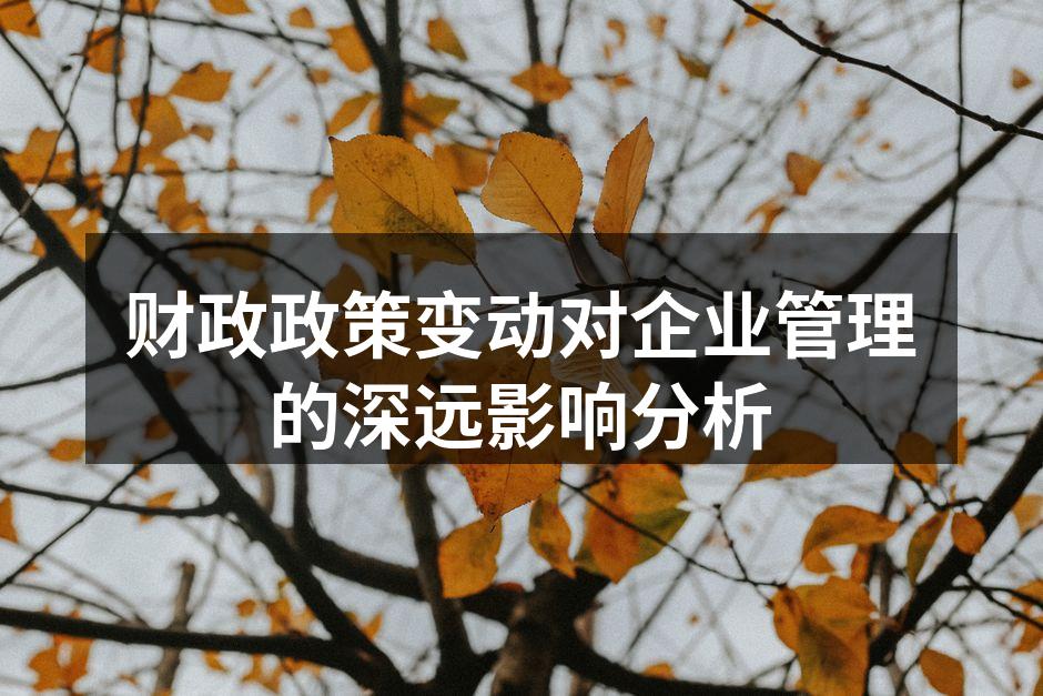 财政政策变动对企业管理的深远影响分析