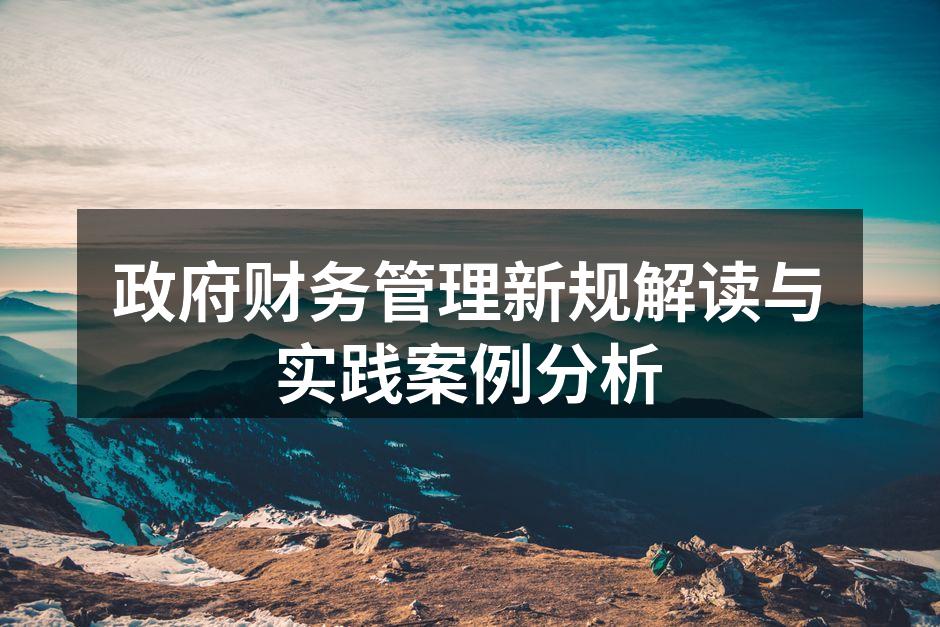 政府财务管理新规解读与实践案例分析